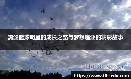 星空官网
